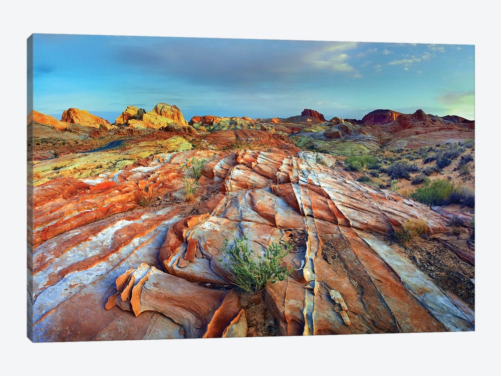 Rainbow Vista, Valley Of Fire State Park, Nevada by Tim Fitzharris 1-piece Canvas Print