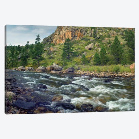 Rapids With Cliffs Above Cache La Poudre River, Colorado Canvas Print #TFI861} by Tim Fitzharris Canvas Art
