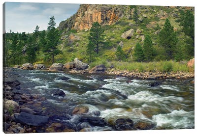 Rapids With Cliffs Above Cache La Poudre River, Colorado Canvas Art Print - Colorado Art