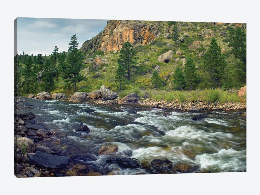 Rapids With Cliffs Above Cache La Poudre River, Colorado by Tim Fitzharris 1-piece Canvas Artwork