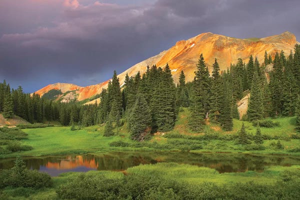 Evergreen Trees: Red Mountain And Pond, Near Ouray, Colorado by Tim Fitzharris