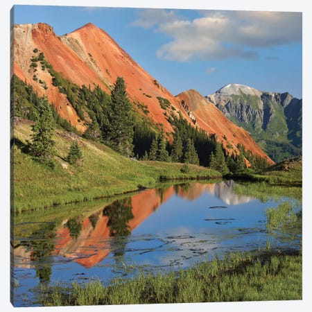 Red Mountain Gets Its Color From Iron Ore In The Rock, Gray Copper Gulch, Colorado Canvas Print #TFI867} by Tim Fitzharris Canvas Art Print