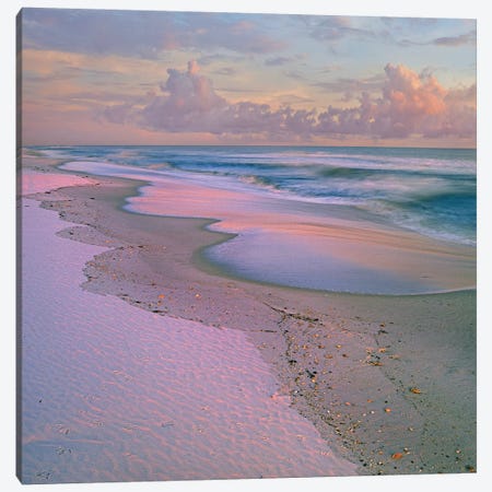 Beach At Sunrise, Gulf Islands National Seashore, Florida Canvas Print #TFI87} by Tim Fitzharris Canvas Art Print