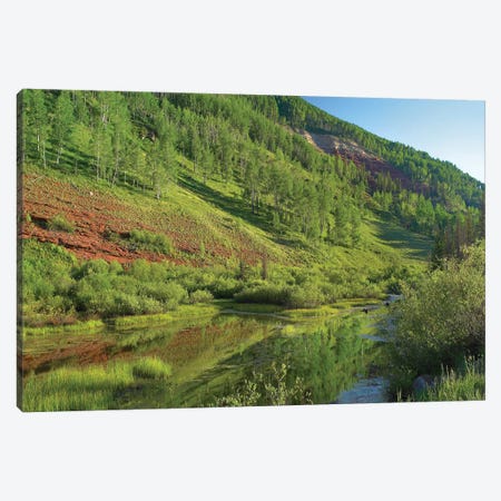 Rico Mountains And Dolores River Backwaters, Colorado Canvas Print #TFI884} by Tim Fitzharris Canvas Print