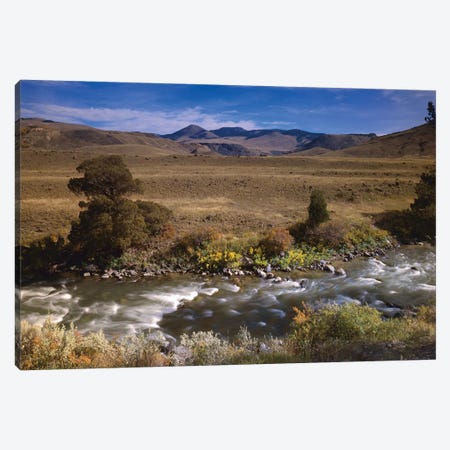 River Flowing Though Meadow, Yellowstone National Park, Wyoming Canvas Print #TFI888} by Tim Fitzharris Canvas Wall Art