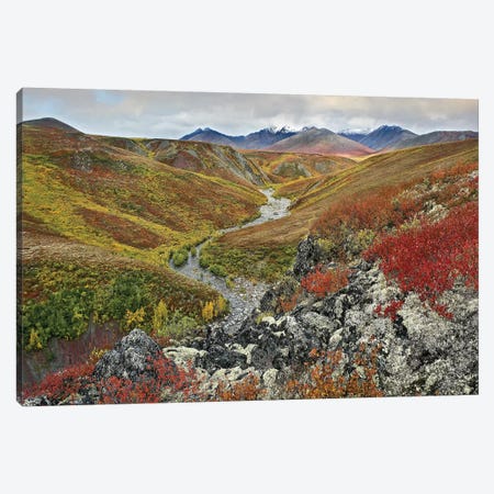 River Flowing Through Tundra, Ogilvie Mountains, Tombstone Territorial Park, Yukon, Canada Canvas Print #TFI889} by Tim Fitzharris Canvas Wall Art