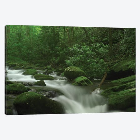Roaring Fork River Flowing Through The Great Smoky Mountains National Park, Tennessee Canvas Print #TFI892} by Tim Fitzharris Canvas Print