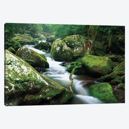 Roaring Fork River, Great Smoky Mountains National Park, Tennessee Canvas Print #TFI893} by Tim Fitzharris Canvas Art Print
