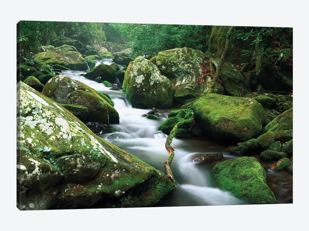 Roaring Fork River, Great Smoky Mountains National Park, Tennessee 1-piece Canvas Print