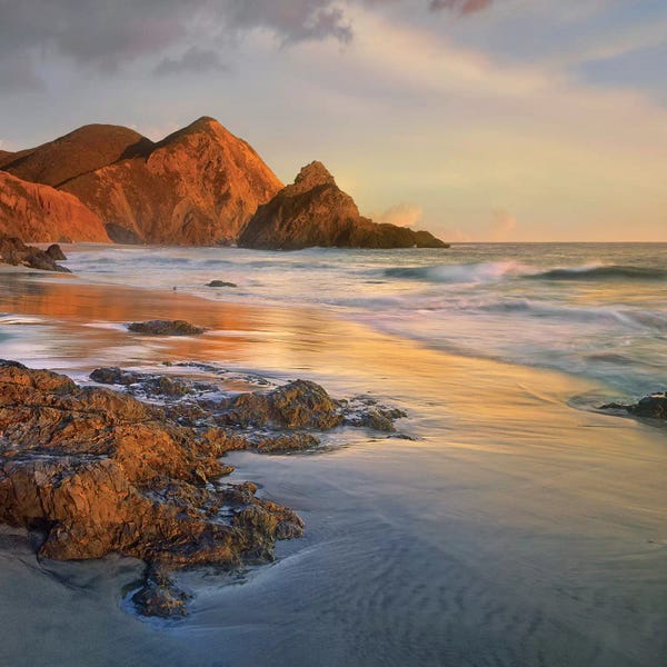 Big Sur: Bean Hollow Beach, Big Sur, California by Tim Fitzharris