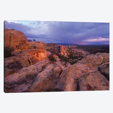 Rocky Outcroppings In El Malpais National Monument, New Mexico Canvas Print #TFI904} by Tim Fitzharris Canvas Art