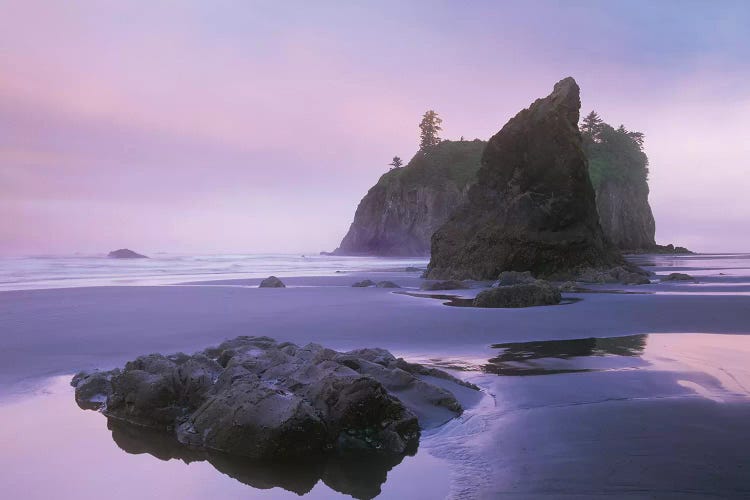 Ruby Beach With Seastacks And Boulders, Olympic National Park, Washington