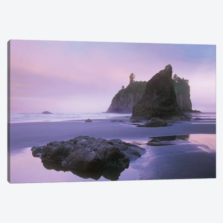 Ruby Beach With Seastacks And Boulders, Olympic National Park, Washington Canvas Print #TFI910} by Tim Fitzharris Canvas Art