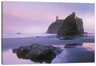Ruby Beach With Seastacks And Boulders, Olympic National Park, Washington Canvas Art Print - Olympic National Park Art