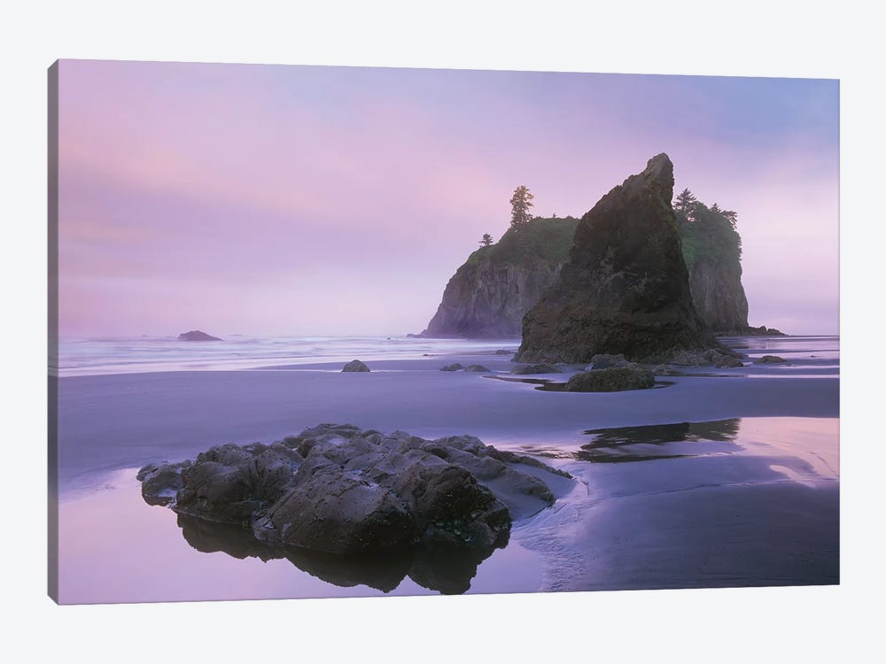Ruby Beach With Seastacks And Boulders, Olympic National Park, Washington by Tim Fitzharris 1-piece Canvas Print
