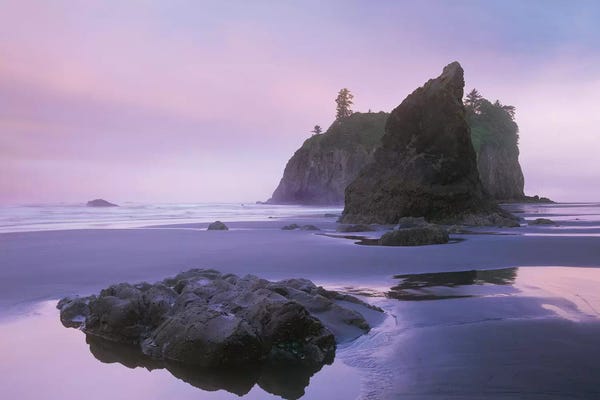 Olympic National Park: Ruby Beach With Seastacks And Boulders, Olympic National Park, Washington by Tim Fitzharris