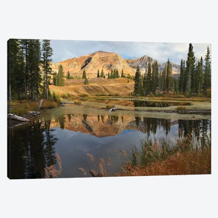 Ruby Range Reflected In Pond, Raggeds Wilderness, Colorado Canvas Print #TFI916} by Tim Fitzharris Art Print