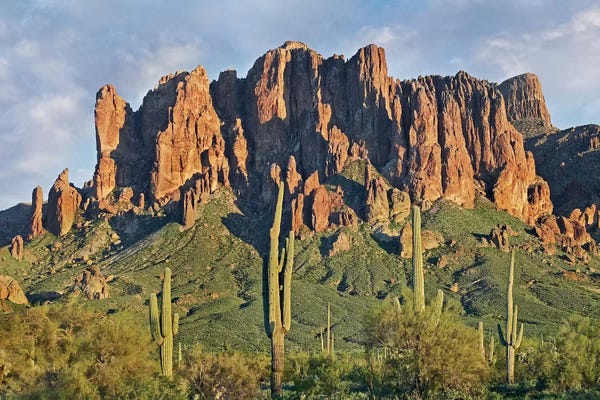 Succulents: Saguaro Cacti And Superstition Mountains, Lost Dutchman State Park, Arizona II by Tim Fitzharris