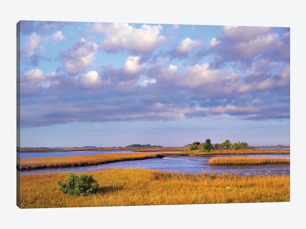 Saltwater Marshes At Cedar Key, Florida by Tim Fitzharris 1-piece Canvas Art Print