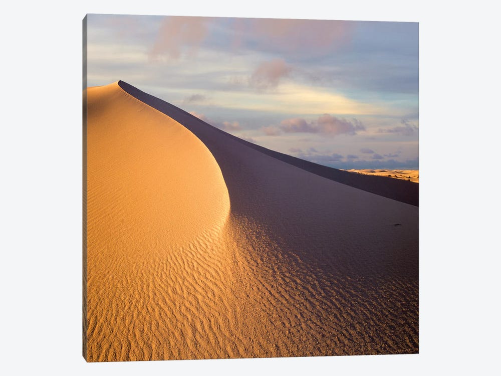 Sand Dune, White Sands National Monument, New Mexico 1-piece Canvas Print