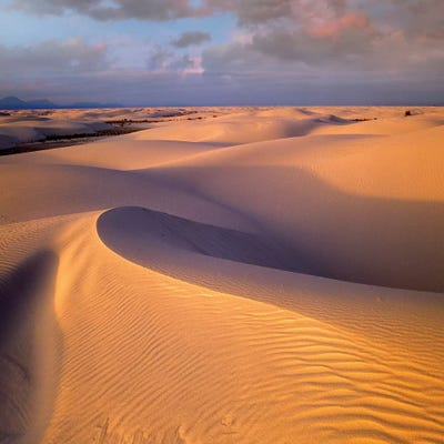 Nature Art - Canvas Prints: Sand Dunes, White Sands National Monument, New Mexico by Tim Fitzharris