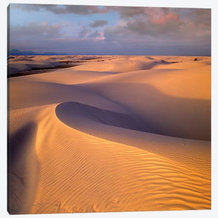 Sand Dunes, White Sands National Monument, New Mexico Canvas Print #TFI955} by Tim Fitzharris Canvas Print
