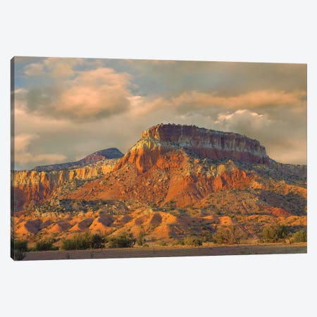 Sandstone Butte Showing Sedimentary Rock Layers, New Mexico Canvas Print #TFI962} by Tim Fitzharris Canvas Print