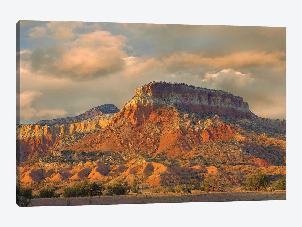 Sandstone Butte Showing Sedimentary Rock Layers, New Mexico by Tim Fitzharris 1-piece Canvas Wall Art