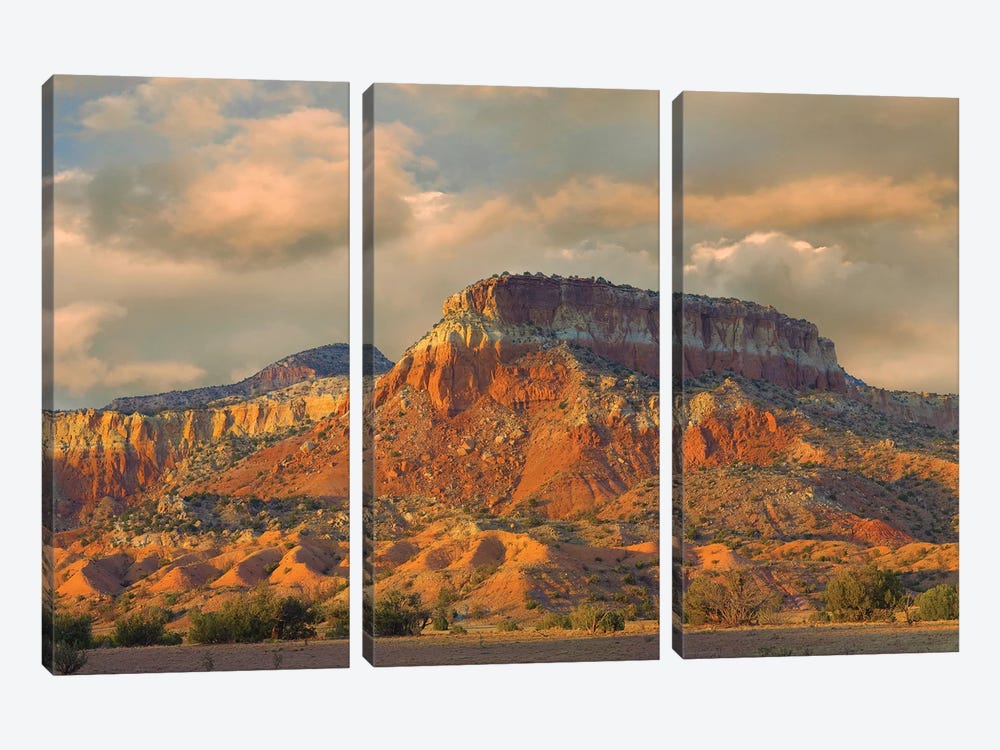 Sandstone Butte Showing Sedimentary Rock Layers, New Mexico by Tim Fitzharris 3-piece Canvas Art