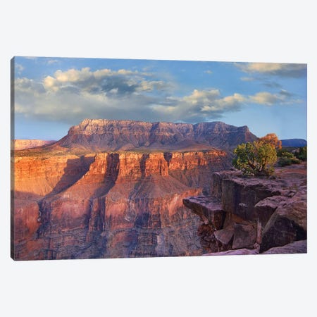 Sandstone Cliffs And Canyon Seen From Toroweap Overlook, Grand Canyon National Park, Arizona Canvas Print #TFI963} by Tim Fitzharris Canvas Print