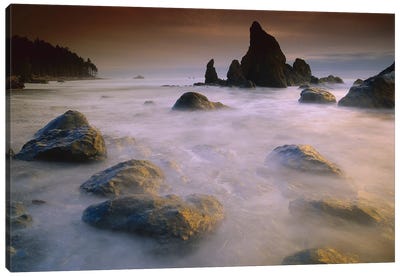 Sea Stack And Rocks Along Shoreline At Ruby Beach, Olympic National Park, Washington Canvas Art Print