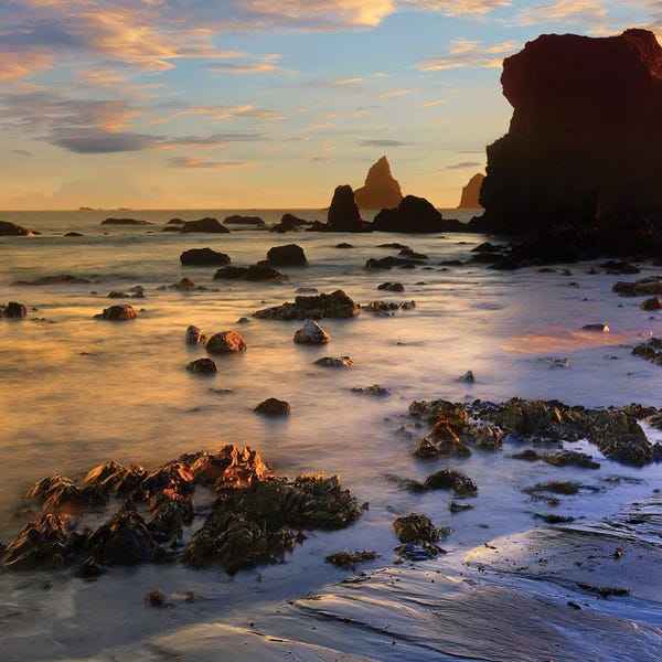 Oregon: Seastacks, Lone Ranch Beach, Oregon by Tim Fitzharris