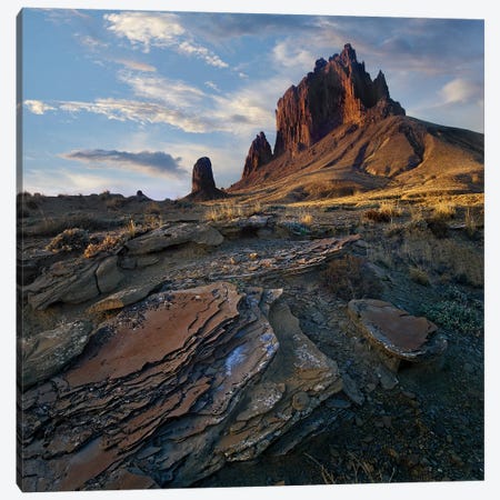 Shiprock, The Basalt Core Of An Extinct Volcano, New Mexico III Canvas Print #TFI994} by Tim Fitzharris Canvas Print