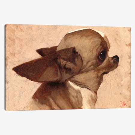 Profile-Chihuahua Canvas Print #TFL11} by Thomas Fluharty Canvas Art
