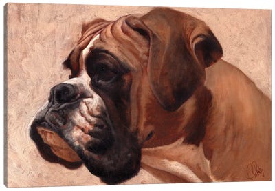 Boxer Canvas Art Print