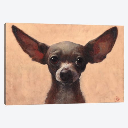 Chihuahua Canvas Print #TFL6} by Thomas Fluharty Canvas Artwork