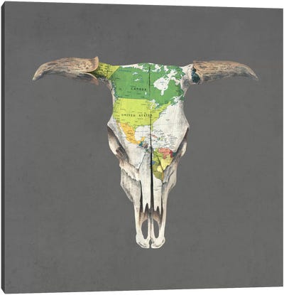 Go West Canvas Art Print - Bison & Buffalo Art