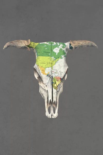 Bulls: Go West Portrait by Terry Fan