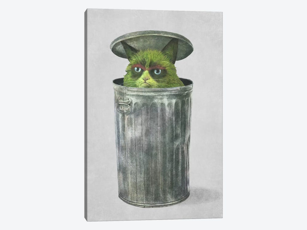 Grouchy Cat by Terry Fan 1-piece Canvas Art Print