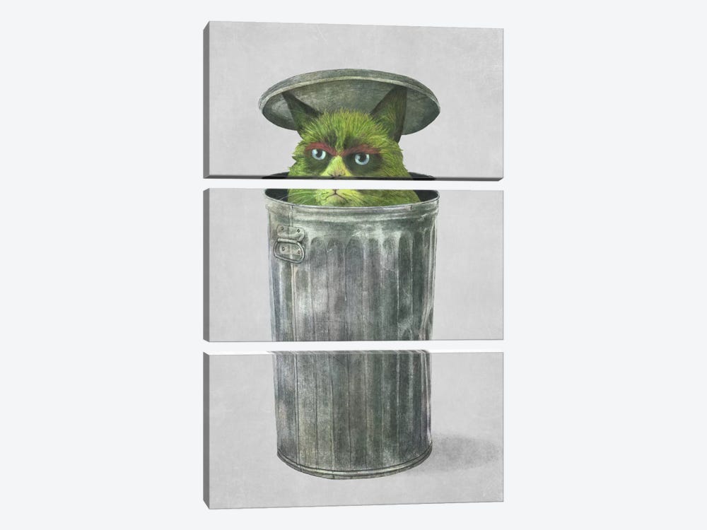 Grouchy Cat by Terry Fan 3-piece Canvas Art Print