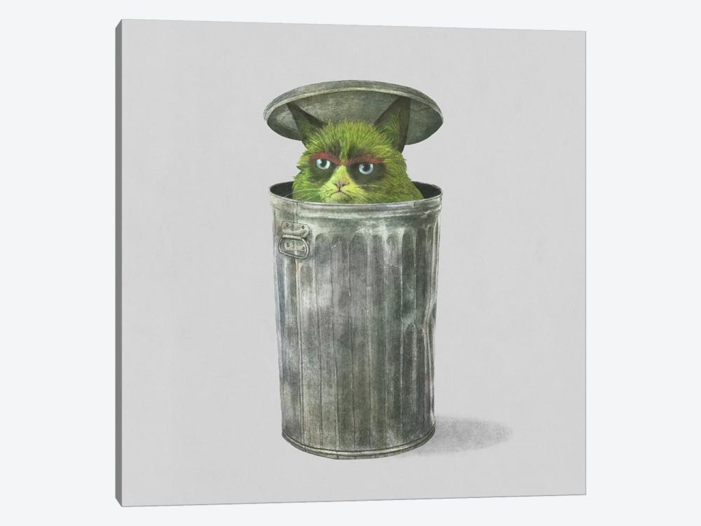 Grouchy Cat Square by Terry Fan 1-piece Canvas Art