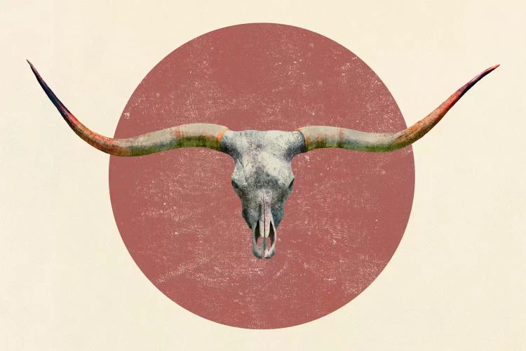 Longhorn by Terry Fan wall art