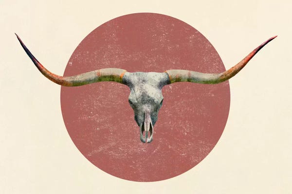 Terry Fan: Longhorn by Terry Fan