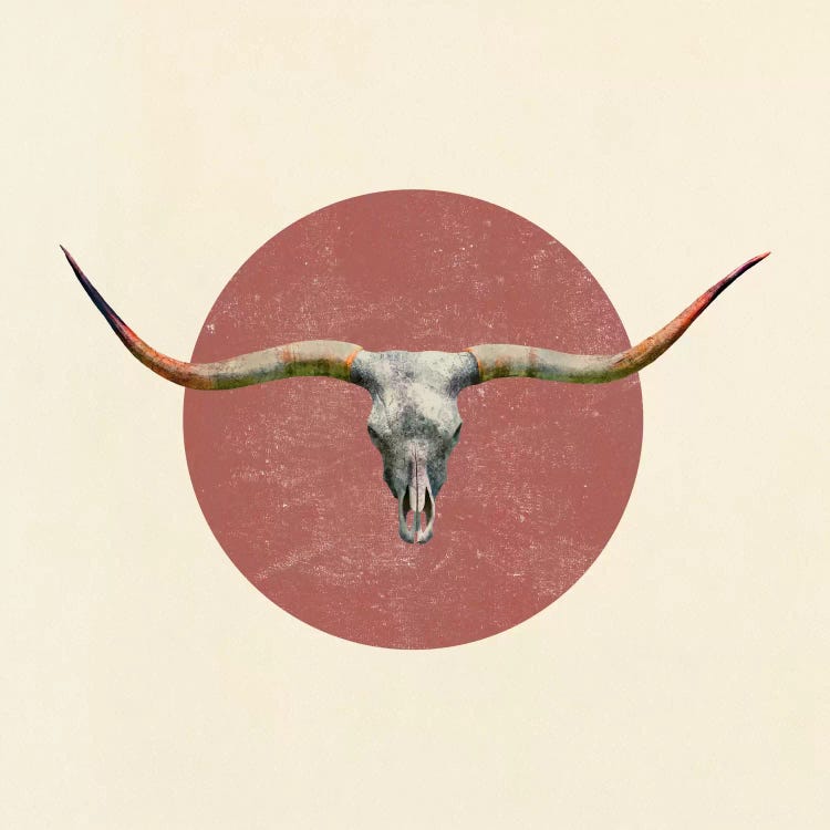 Longhorn Square by Terry Fan wall art
