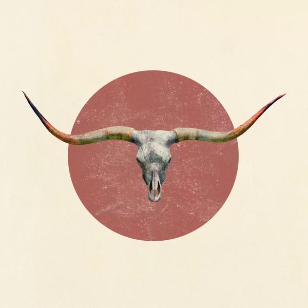 Book illustrations: Longhorn Square by Terry Fan