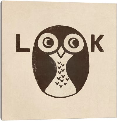 Look Canvas Art Print - Owl Art