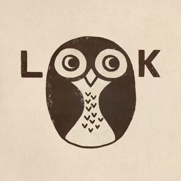 Book illustrations: Look by Terry Fan