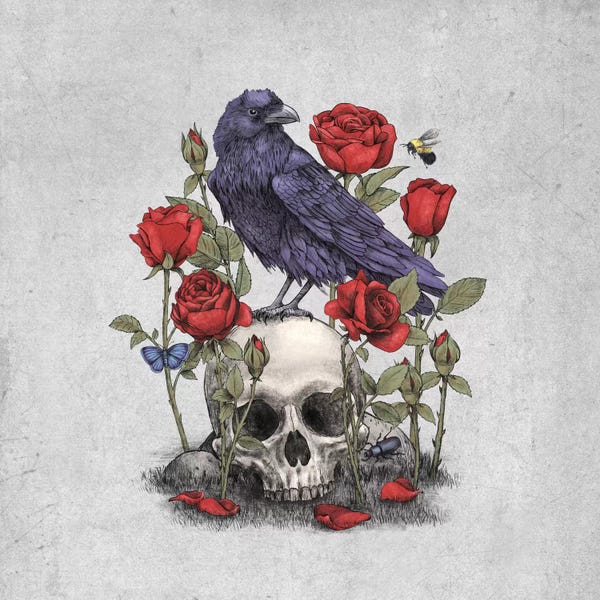 Book illustrations: Memento Mori Square by Terry Fan