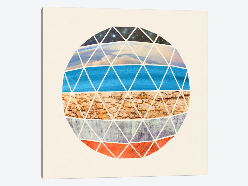 Natural Geodesic by Terry Fan 1-piece Canvas Artwork