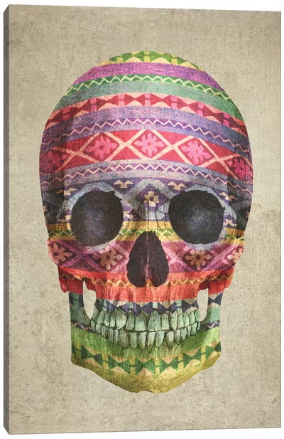 Navajo Skull Canvas Art Print - Terry Fan